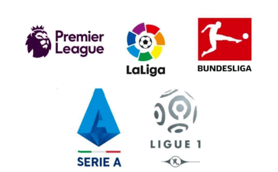 这些展览内 这些展览内